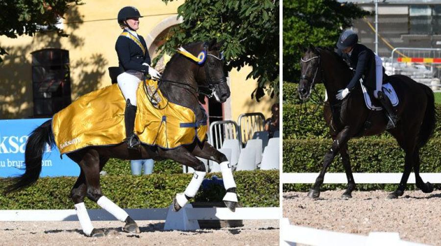Lina Dolk med Languedoc vid ärevarvet. Till höger i bild får hästen en kram efter avslutad ritt.