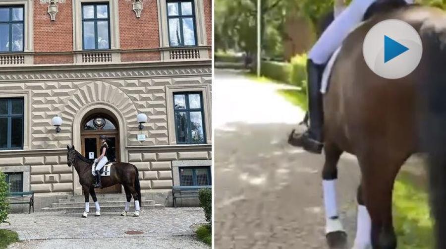 Såg du ett ridande ekipage vid en gymnasieskola i centrala Lund? Då kan du ha sett Bianca Alm och hästen "Z" som deltog i en poängjakt med skolklassen.