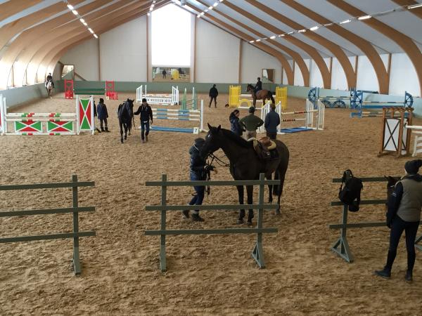 Vi har haft pay'n jump i onsdags och har även en nu på onsdag. Info på vår Facebook-sida som heter Grevlundagården.