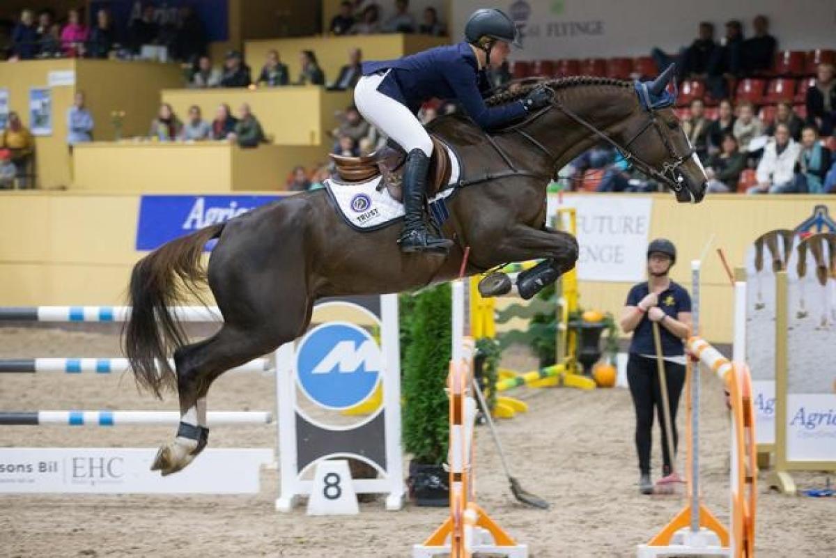 Stephanie tävlat både unga och äldre hästar så jobbet innebär många olika tävlingar. Högt och lågt! Här med Main Road som fått biljett till Scandinavium genom Lövsta Future Challange.