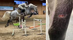 Sara Ekman uppdaterar oss om hästlivet i coronapandemins spår, det vill säga utan tävlingar. Hon tränar desto mer – i alla fall när hästarna håller sig friska.