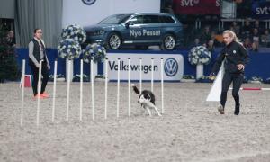 Angelica Augustsson in action.