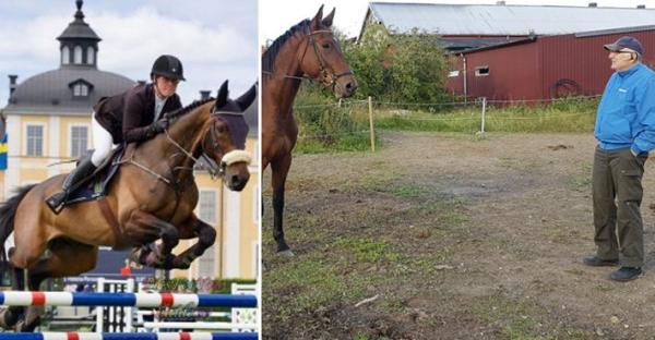 Lite mer än en vecka har gått sedan Nils-Gunnar Hansson gick bort. "Tette" minns avelsprofilen som har gjort ett stort avtryck i hennes, och många andras, liv.