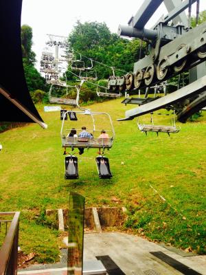 Söva häst - lektion i övervakning!