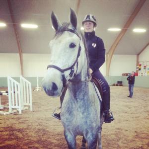 En ny häst är 4-årige Costor e Calido - Irco Mena - Elberton - Ralme Z - Utrillo - Sweet Mahrhu xx