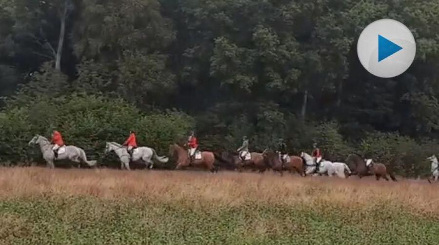 Under helgen arrangerades traditionsenligt den stora jaktritten i Hallaröd. Drygt 80 ekipage deltog i den ca två timmar långa uteritten.