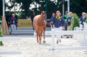 Patrik Kittel ser allvarlig ut även om Scandic tar det hela med ro.