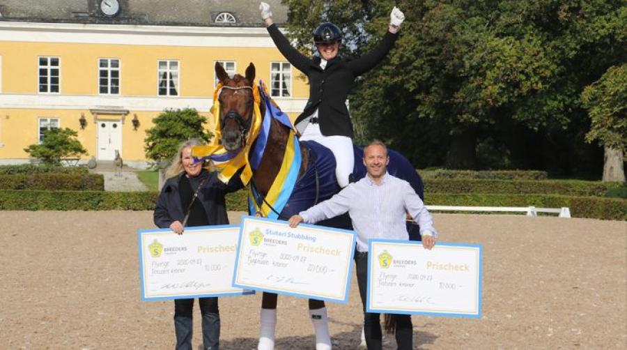 Springbank VH vann sexårsfinalen förra året. Då var ryttaren Berina Jaeger Jensen – i år är det tyska Yara Reichert som sitter i sadeln. Arkivfoto: Frida Bank