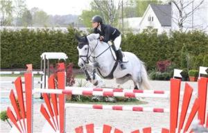 Snowball tog YR-silver på SM i år och är en av de hästar som sålts på auktionen.