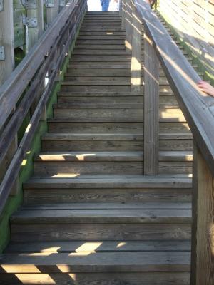 Det absolut jobbigaste just nu. I Falsterbo var det många...