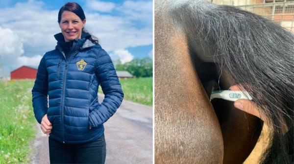 Hoppryttaren Anna-Clara Pettersson längtar efter att äntligen få tävla. Samtidigt ökar risken för smittspridning och hon uppmanar alla att tempa sina hästar.