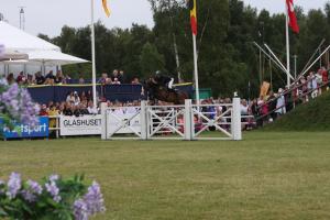Niklas Arvidsson slutade på 16 fel med Cobolt, bland annat efter ett stopp på väg ut från arenan.