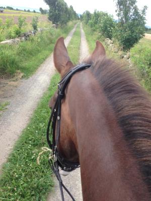 Ture och jag på tur!