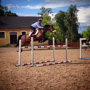 Här har ni Pepper, dock inte i Falun, Utan hemma på stallplan, sista hoppasset innan vi åkte upp :)