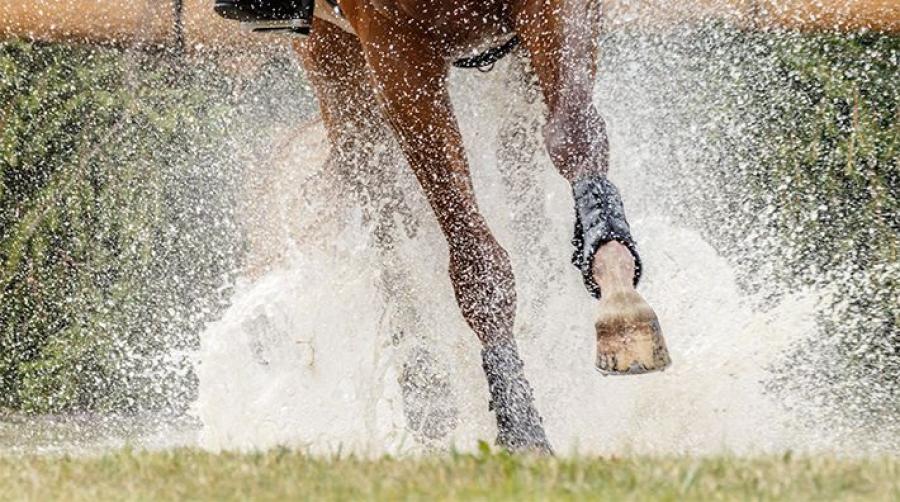 Arkivfoto: Adobe Stock