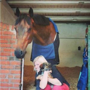 Tänk så många platser jag har fått åka till tillsammans med min lilla bruna vän! Och fler ska det bli :)