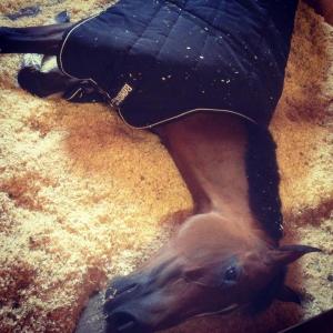 Zidane vilade upp sig, han har haft en fantastisk helg!