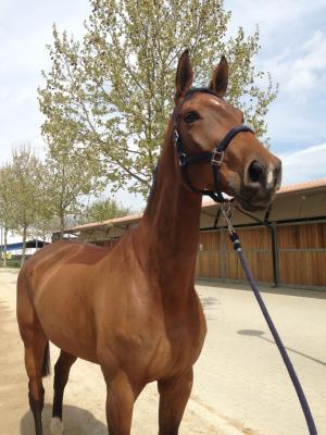 Candy Flip ute på äventyr