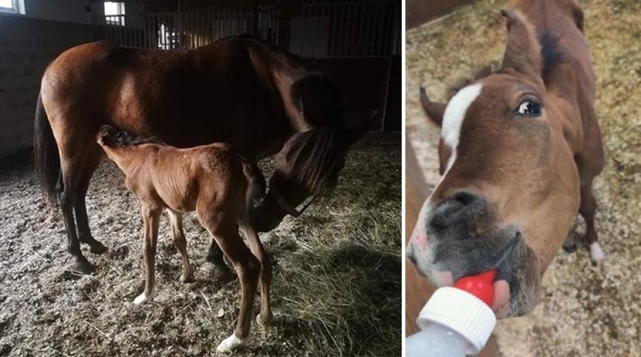 "Lilla Ängla" har fått en ny mamma i Wennie.