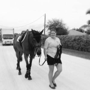 Cafino - Sveriges bästa häst!