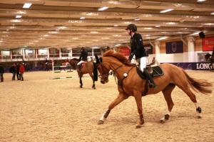 Elenya DS har verkligen en härlig galopp!