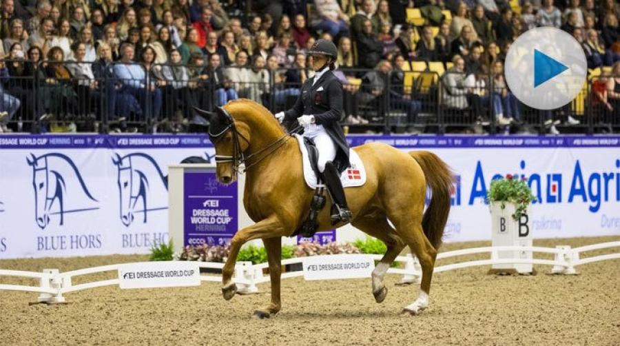 19 år gammal har Atterups Cassidy mycket kvar att ge. Det visade han vid världscuptävlingarna i Herning. Han och Dufour vann både GP och kür.