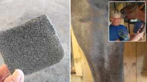 Veterinär Johanna Habbe delar med sig av en liten dikt. Den handlar, med glimten i ögat, om hur du får bukt med styngflugeäggen på hästens ben.