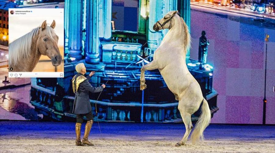Tobbe och Nicke uppträdde under Sweden International Horse Show på Friends arena 2019. Arkivfoto: Jennie Börs