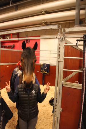 Hippsons husbloggare My Almqvist och Lunatic visar att de är ett sammansvetsat team!