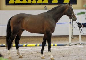 Flambeau på 3-års testet.