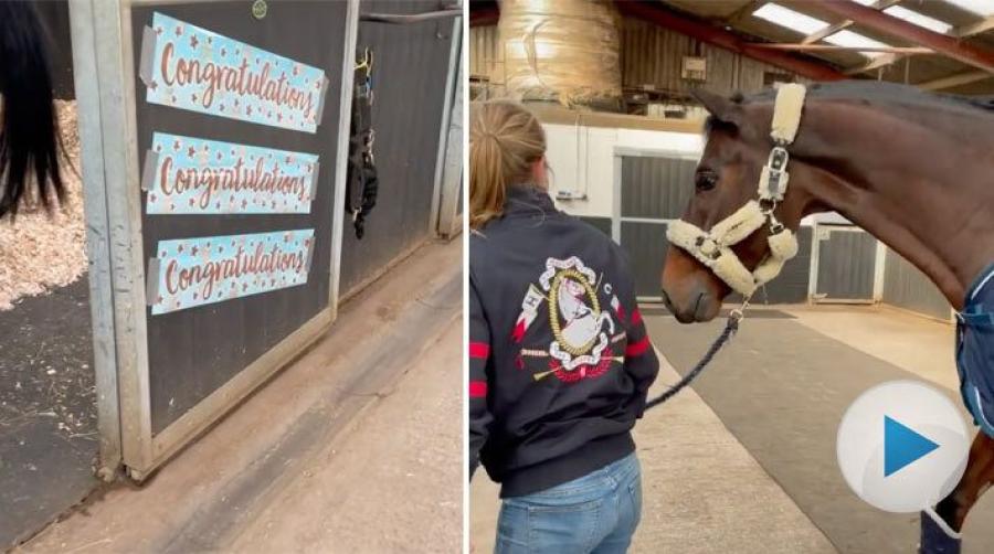 <p>När Laura Coletts häst Outback kommer tillbaka hem efter en  tävlingshelg har hans box pyntats för att fira honom. Men han är skeptisk.
