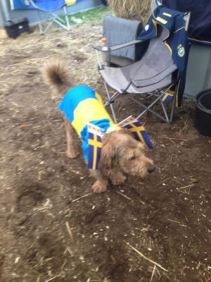 Patrik Kittels hund Ozzy fick agera maskot under lagtävlingen.