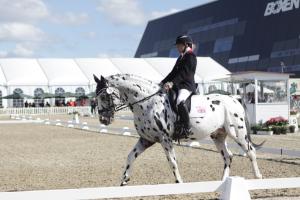 Det här är en häst som väckte mycket uppmärksamhet under para-dressyren. En prickig apaloosa, en av få hingstar i mästerskapet, med den engelska ryttaren Anne Dunham i sadeln. De tog silver i klassen...