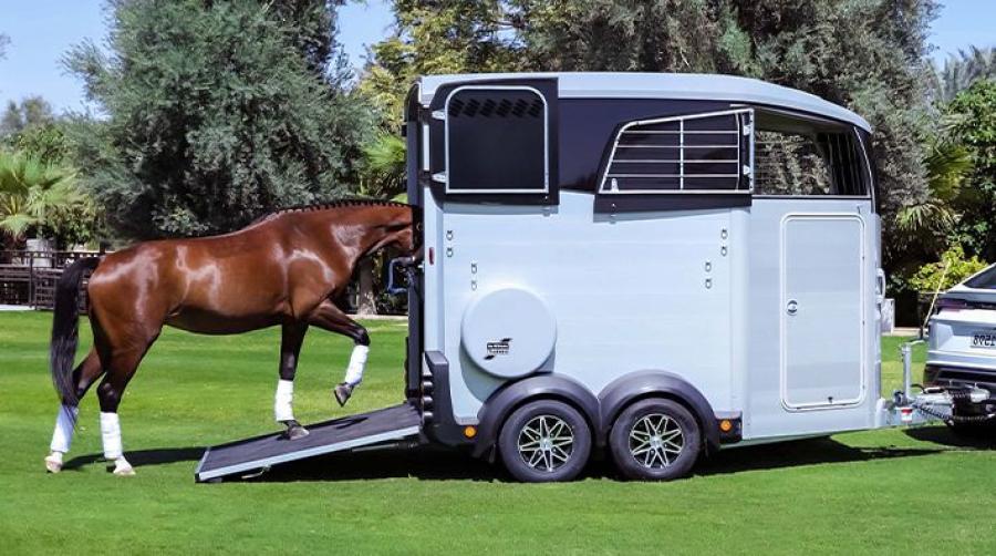 Ska du köpa hästtransport? Håll koll på material och detaljer!