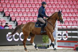 Henrik von Eckermann på warm-up:en.