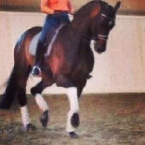 Från i tisdags när Lussan var här.