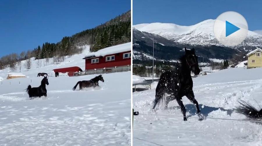 <p>I vårt avlånga land är kanske väderkontrasterna som allra störst just nu. Snö längst upp i norr medan sommarblommorna fortfarande blommar i söder.