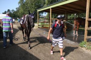 Runt stallarna är det alltid full rusch med hästar och hästskötare.