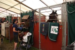 Angelica Augustsson om uppladdningen inför EM