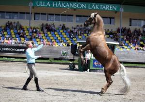 Tobbe Larsson höll i vanlig ordning show under söndagens invigning.