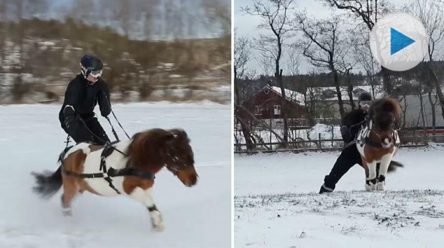 <p>Pontus Hugosson har spänt på skidorna och spänt för Katitzi. För är det snö då ska man tolka, det är sen gammalt, eller vad tycker ni?</p>