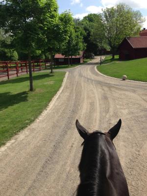 Anton och vackra Lövsta