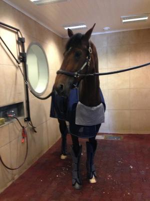 Avalon redo att åka till Strömsholm