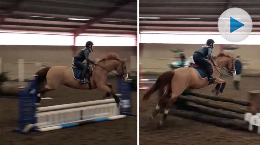 <p>Det 27-åriga stoet Paradis visade verkligen hur det ska gå till när hon nyligen var med på inomhusterrängträning för Christoffer Forsberg.