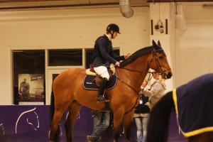 Janne är en stor häst, över 180 centimeter över manken.