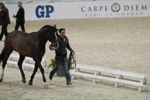 Celia Rijntjes, Rolf-Göran Bengtssons hästskötare, springer upp med Casall.