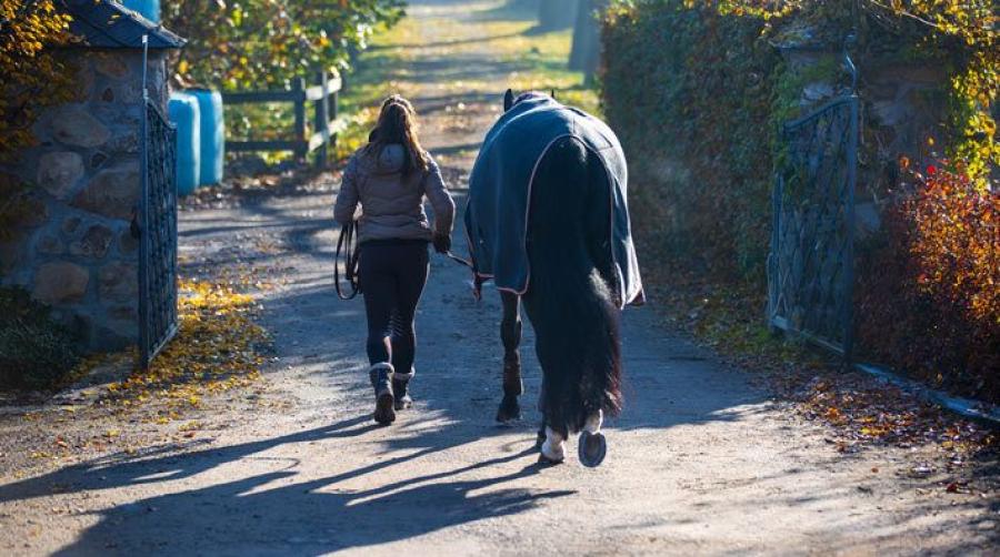 Personen på bilden är inte samma som i artikeln. Foto: Tomas Holcbecher