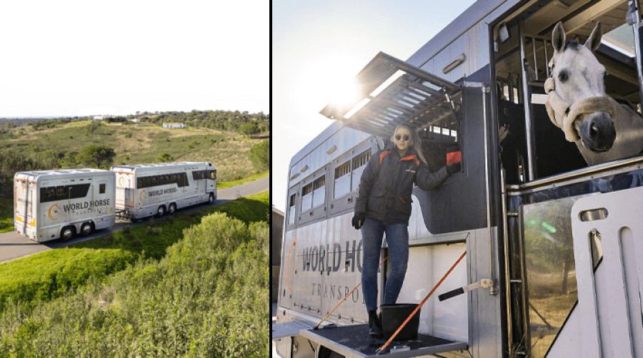 Säker resa från stall till stall - få uppdatering via en app