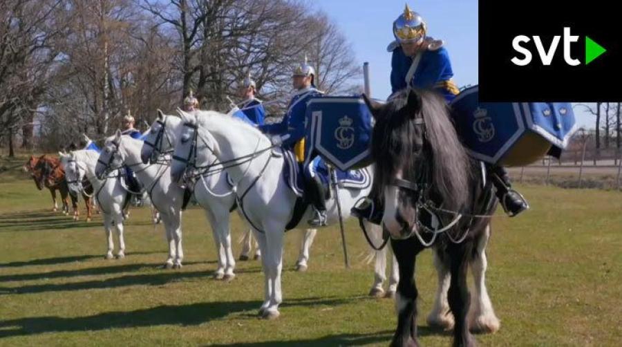 Bakom kulisserna hos Beridna Högvakten