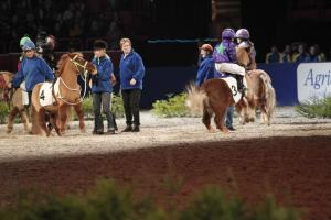 Innan start är det svårt för ponnyerna att hålla sig i skinnet!